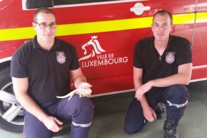 site de rencontre province du luxembourg