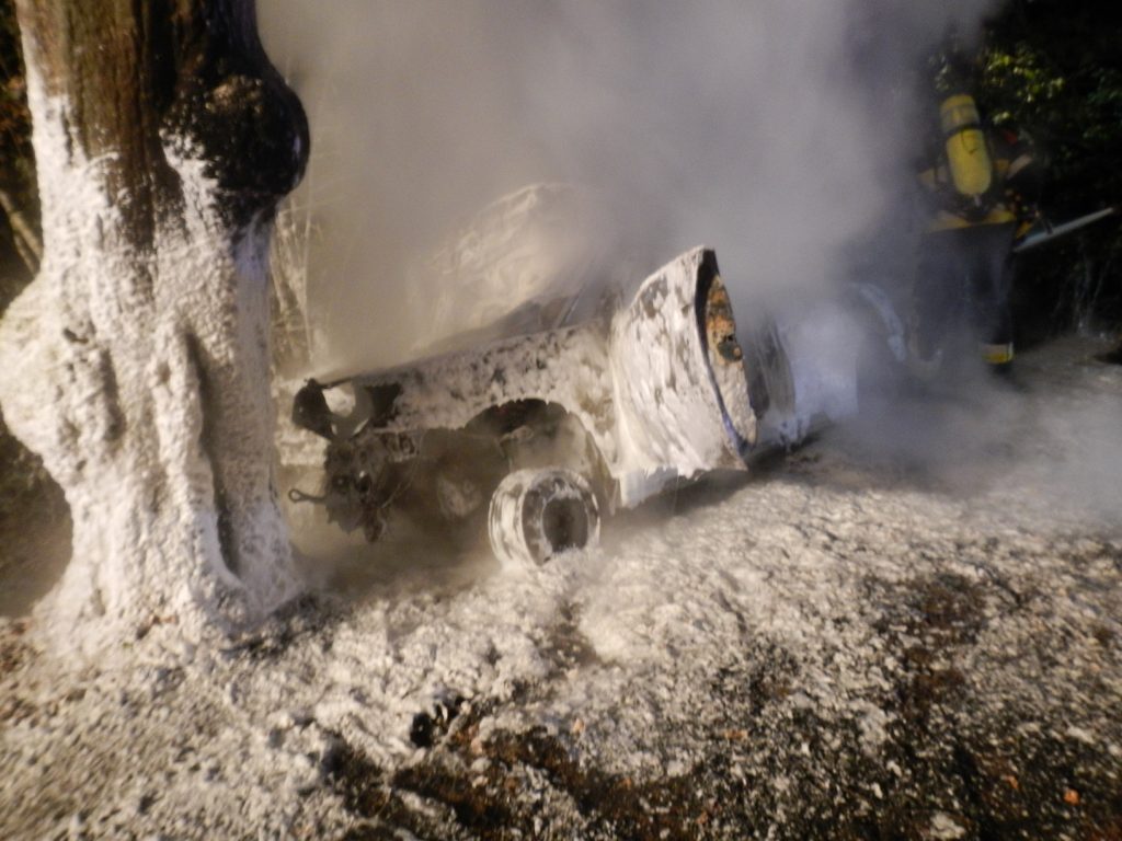 La voiture a été totalement détruite par les flammes. (photo police grand-ducale)