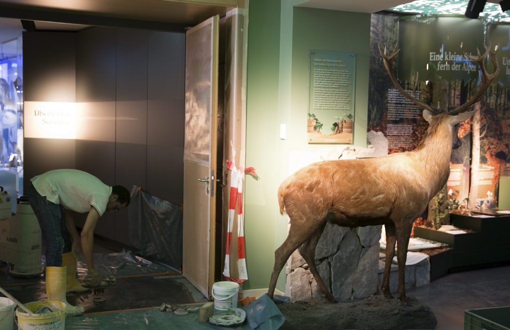 Musée d'Histoire naturelle Luxembourg - chantier