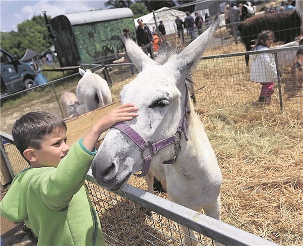 La foire agricole d'Ettelbruck est un rendez-vous incontournable, pour le plus grand bonheur des enfants. (photo LQ)