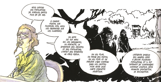 Extrait de la bande dessinée d'A. Dan, Le Oki d'Ozala. (Photo: DR)