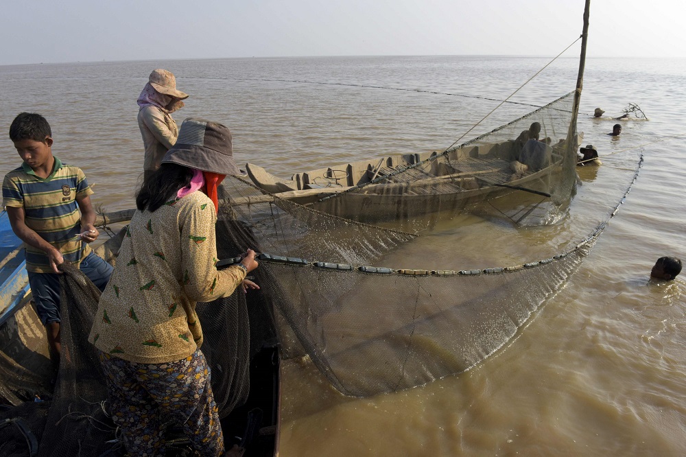 Des villageois tirent un filet de pêche sur le lac Tonle Sap près de la commune de Kampong Phluk à Siem Reap. (Photo : AFP)