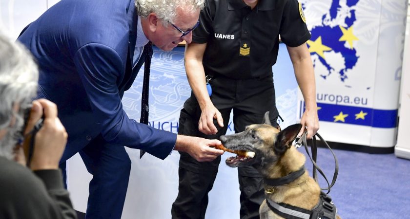 http://www.lequotidien.lu/wp-content/uploads/2018/09/cash-chien-840x450.jpg