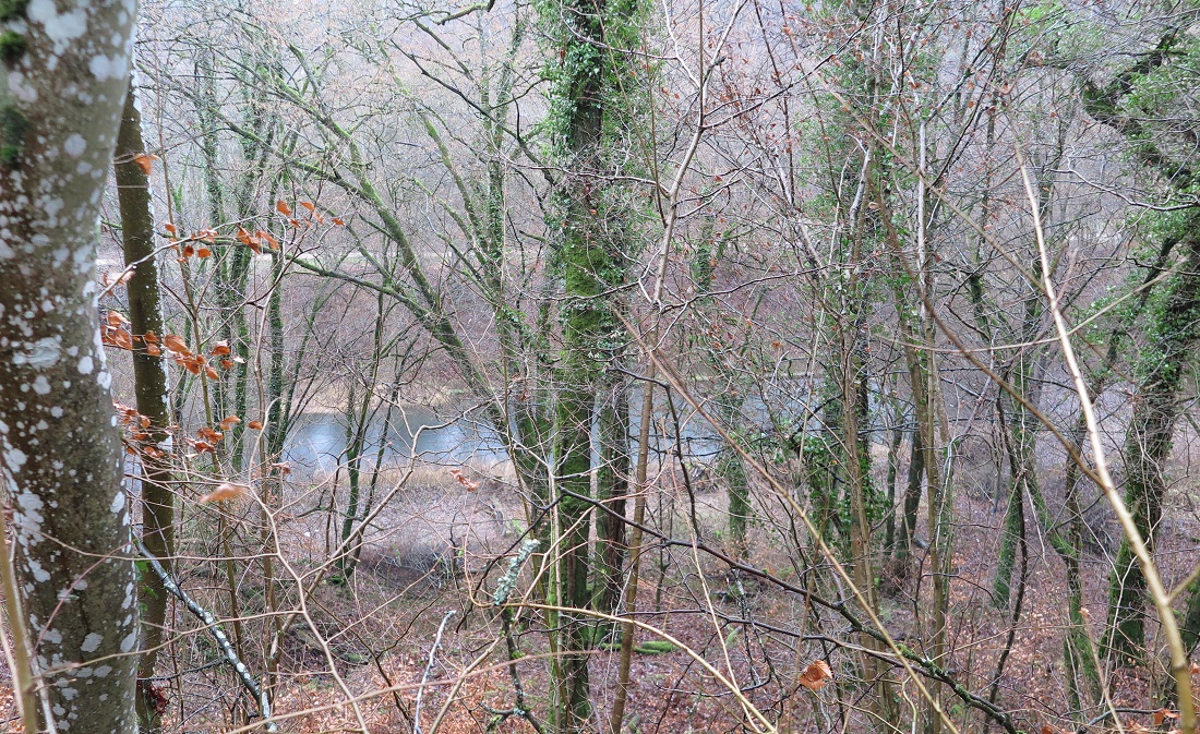 Un ancien bassin de refroidissement, situé entre Differdange et Hussigny-Godbrange, pourrait être réhabilité en étang (Photo : HG).