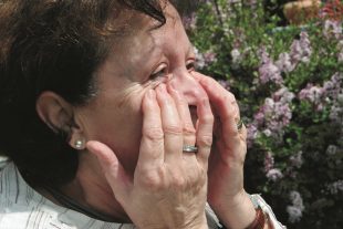 Le réchauffement climatique et la hausse des températures conduisent à une augmentation des quantités de pollen. (photo archives editpress/Alain Rischard)