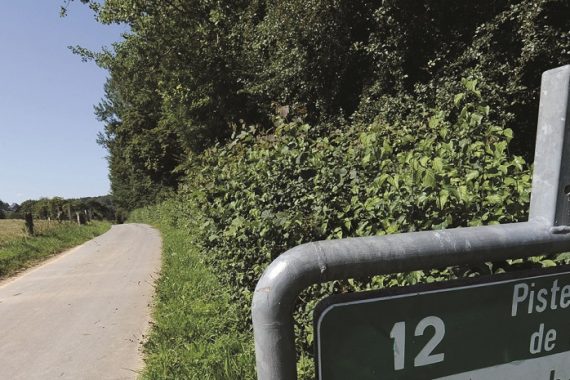 Huit kilomètres borderont la piste cyclable, au sud de Steinfort jusqu'à l'A6. (illustration Fabrizio Pizzolante)