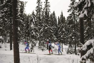 Le pays aux 190 000 lacs, connu pour ses forêts et ses saunas, devance le Danemark (2e), suivi de la Norvège, l'Islande, les Pays-Bas, la Suisse, la Suède ou encore la Nouvelle-Zélande et le Canada, selon le classement 2019 du "World Happiness Report". (photo AFP)