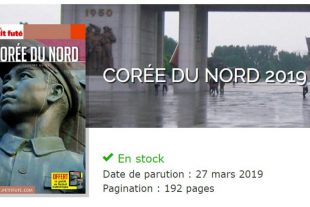 Si le visa de tourisme est facile à obtenir, Le Petit Futé admet que les conditions de visite sont "très contraignantes". (photo AFP)