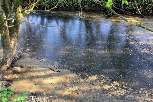 L'agent de l'administration de la Gestion de l'eau n'a pu que constater l'ampleur des dégâts. (photo police grand-ducale)