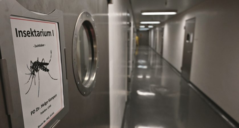 Riems En Allemagne Lalcatraz Des Virus Les Plus